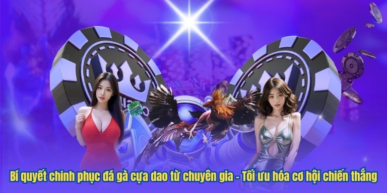 Bí quyết chinh phục đá gà cựa dao từ chuyên gia – Tối ưu hóa cơ hội chiến thắng