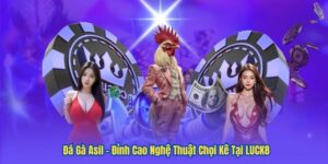 Đá Gà Asil – Đỉnh Cao Nghệ Thuật Chọi Kê Tại LUCK8