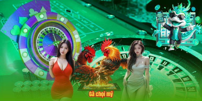 Gà chọi mỹ