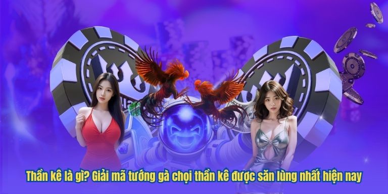 Thần kê là gì? Giải mã tướng gà chọi thần kê được săn lùng nhất hiện nay
